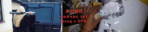 твердый Протвино
